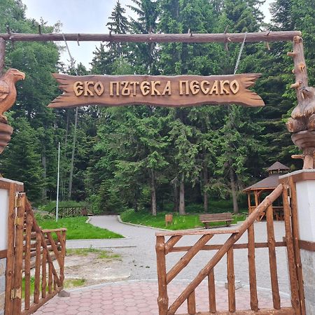 Mountain Peak Apartment Borowec Zewnętrze zdjęcie