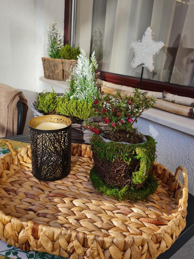 Mountain Peak Apartment Borowec Zewnętrze zdjęcie